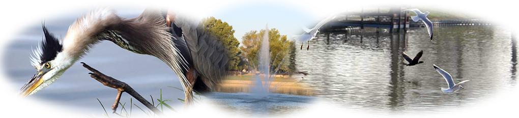 City Lake Park